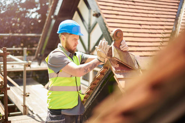 Best Metal Roofing Contractor  in National City, CA